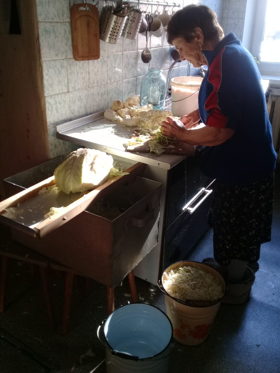 Preparando chucrut casero a mano con col y sal