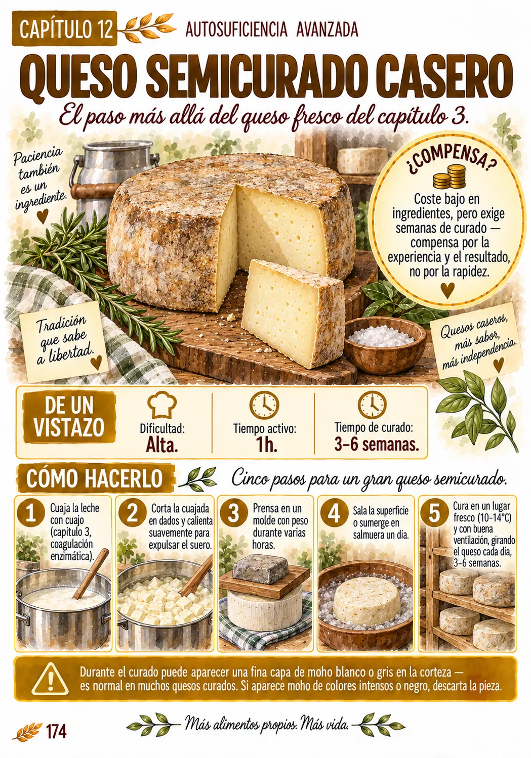 Ficha ilustrada del queso semicurado casero