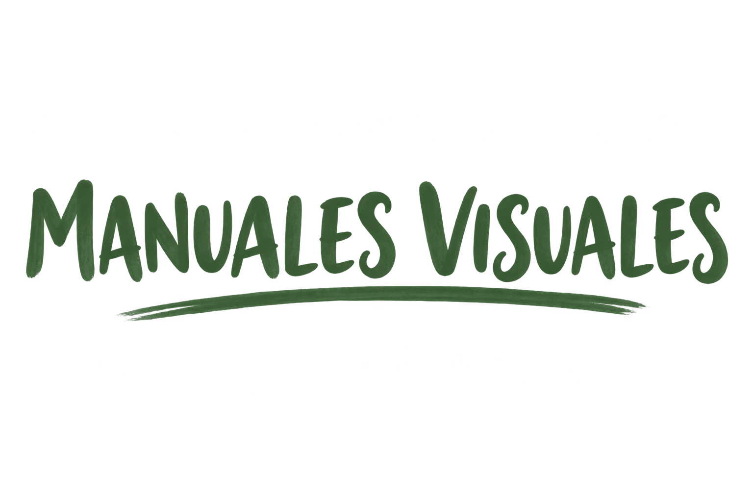 Manuales Visuales