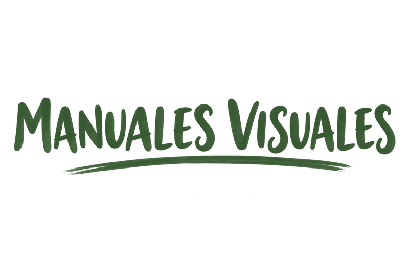Manuales Visuales