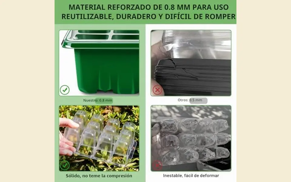 Bandejas semillero con brotes germinando