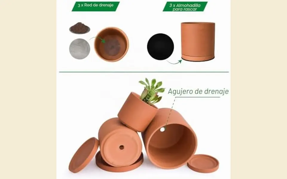 Maceta de terracota con plato